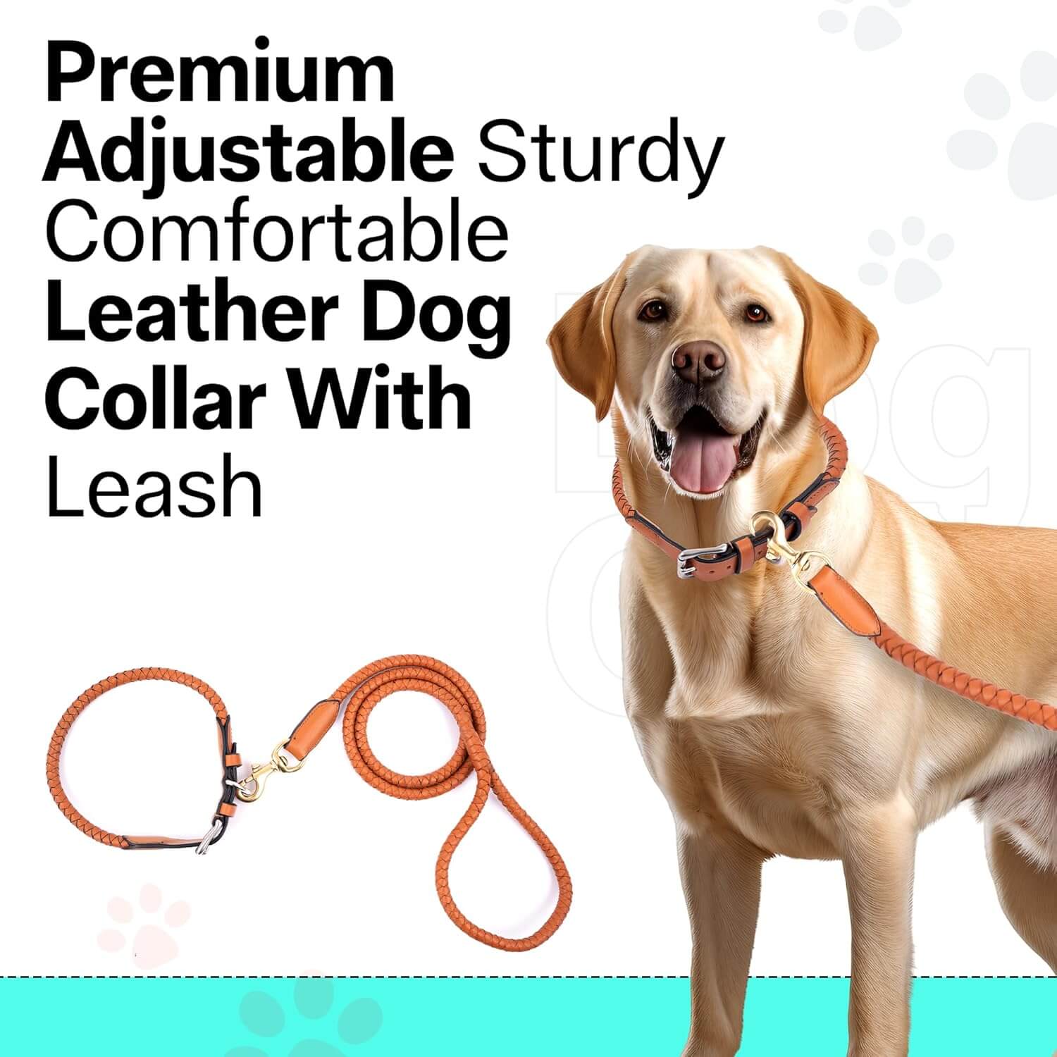 Braided Rolled Drum Dyed (DD) Leather Dog Collar & Leash